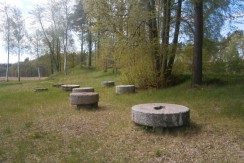 Picture 017